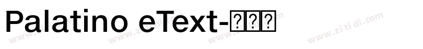 Palatino eText字体转换 Palatino eText字体转换